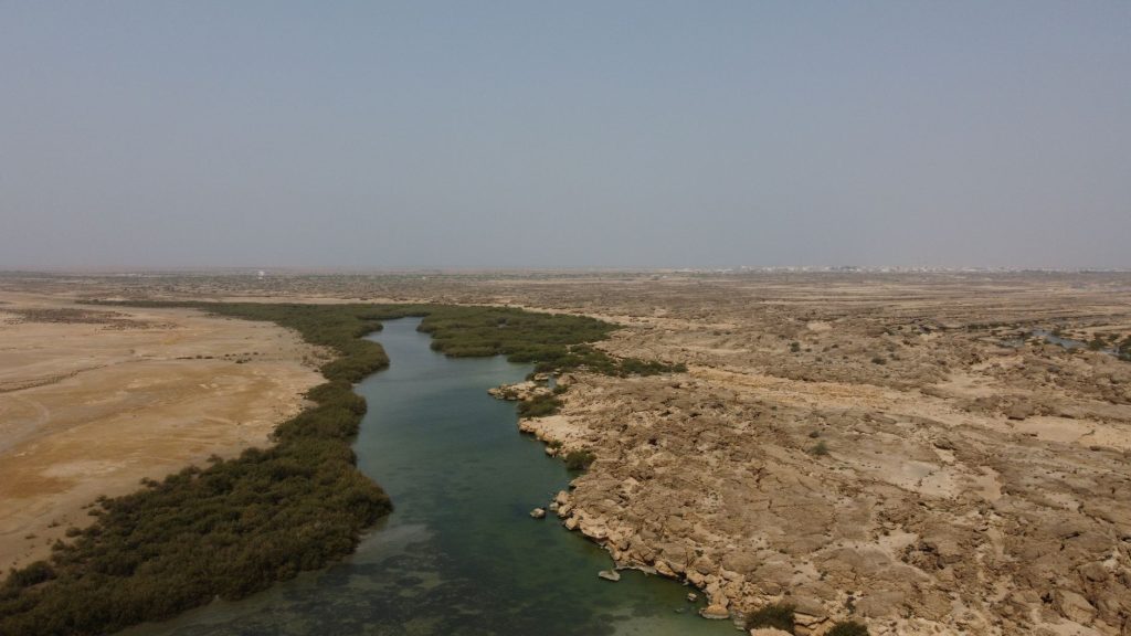 رحلة إلى وادي تيران ومضيق تيران