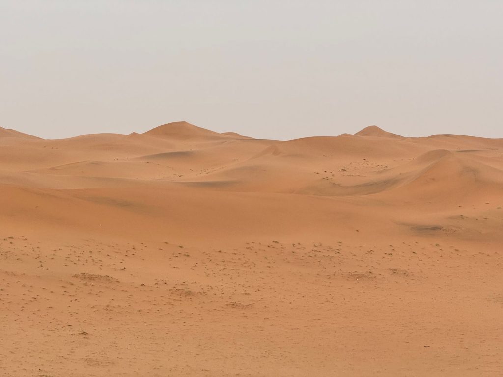 نفود الصر الصحراوي